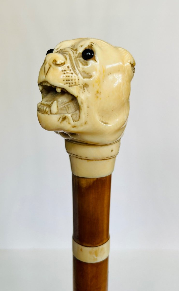 Ivory Mastiff Head Cane 